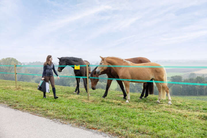 AKO Weidezaungerät SunPower S2400 Smart